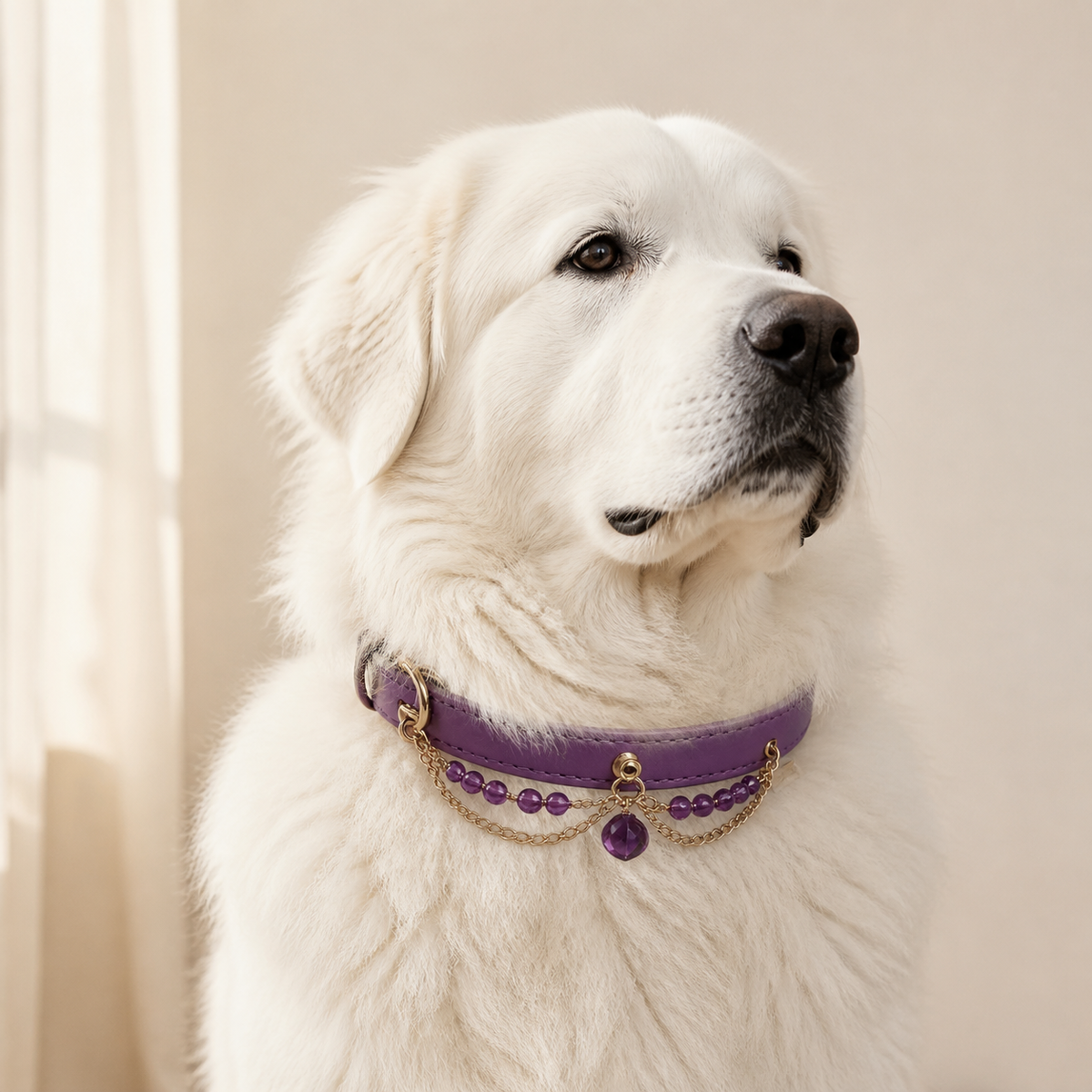 The Queen — Custom Crystal Leather Pet Collar