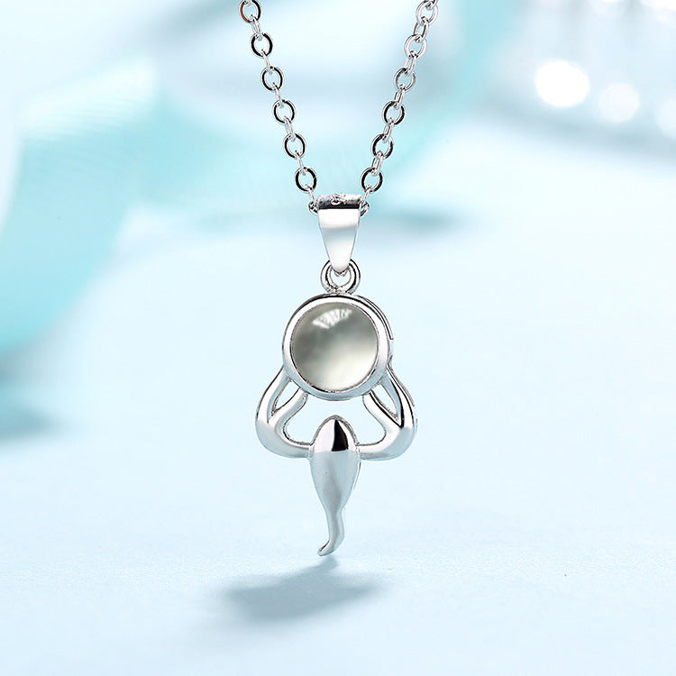 Personalised Zodiac Birth Sign Necklace