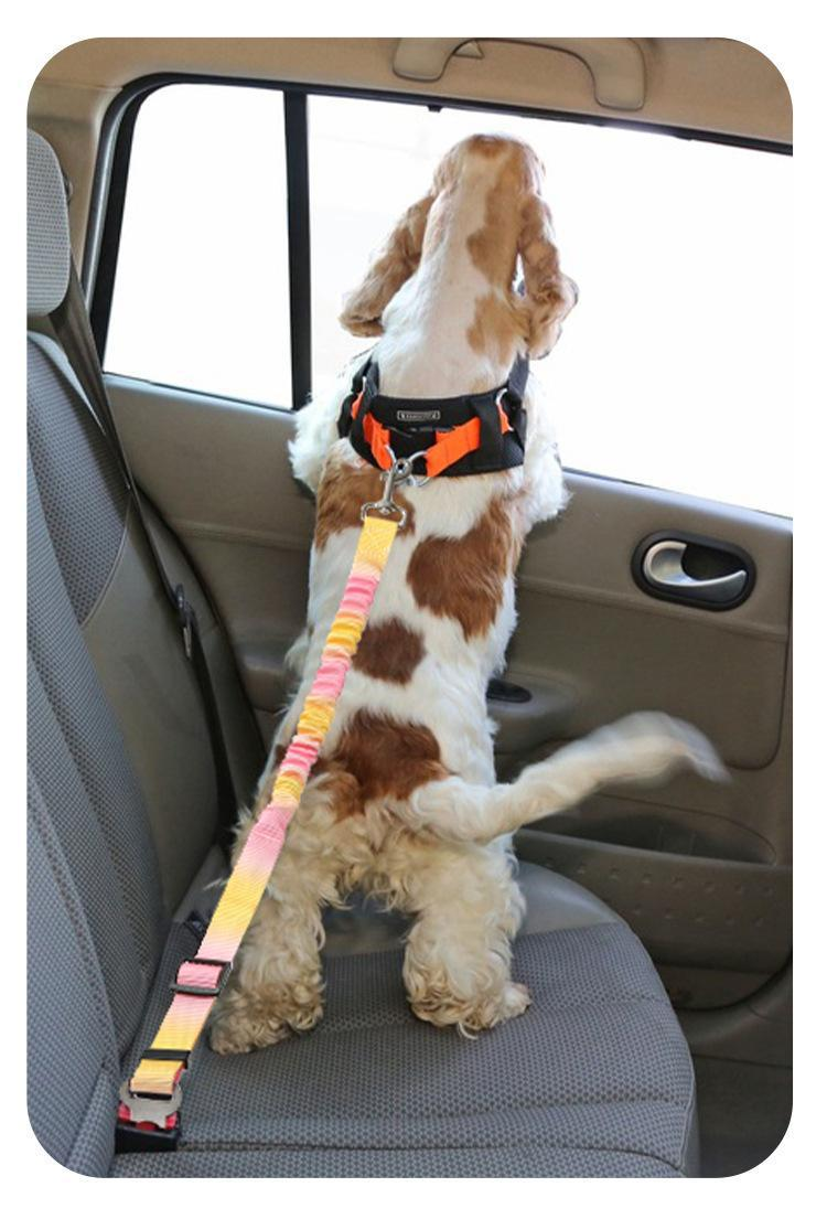 Adjustable Bungee Dog Car Seat Belt with Shock-Absorbing Tether
