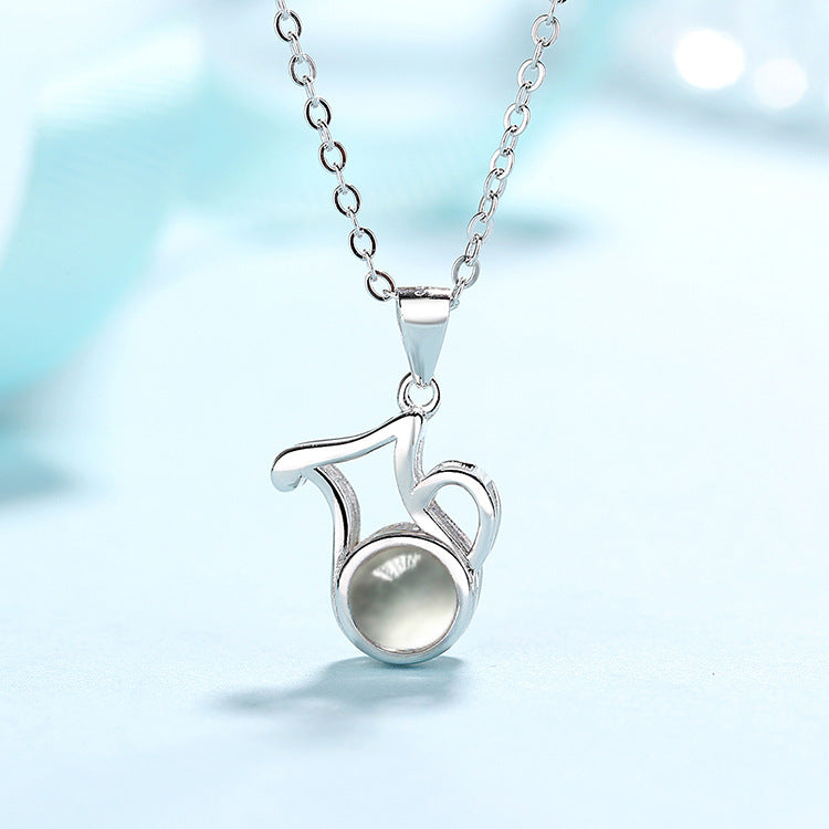 Personalised Zodiac Birth Sign Necklace