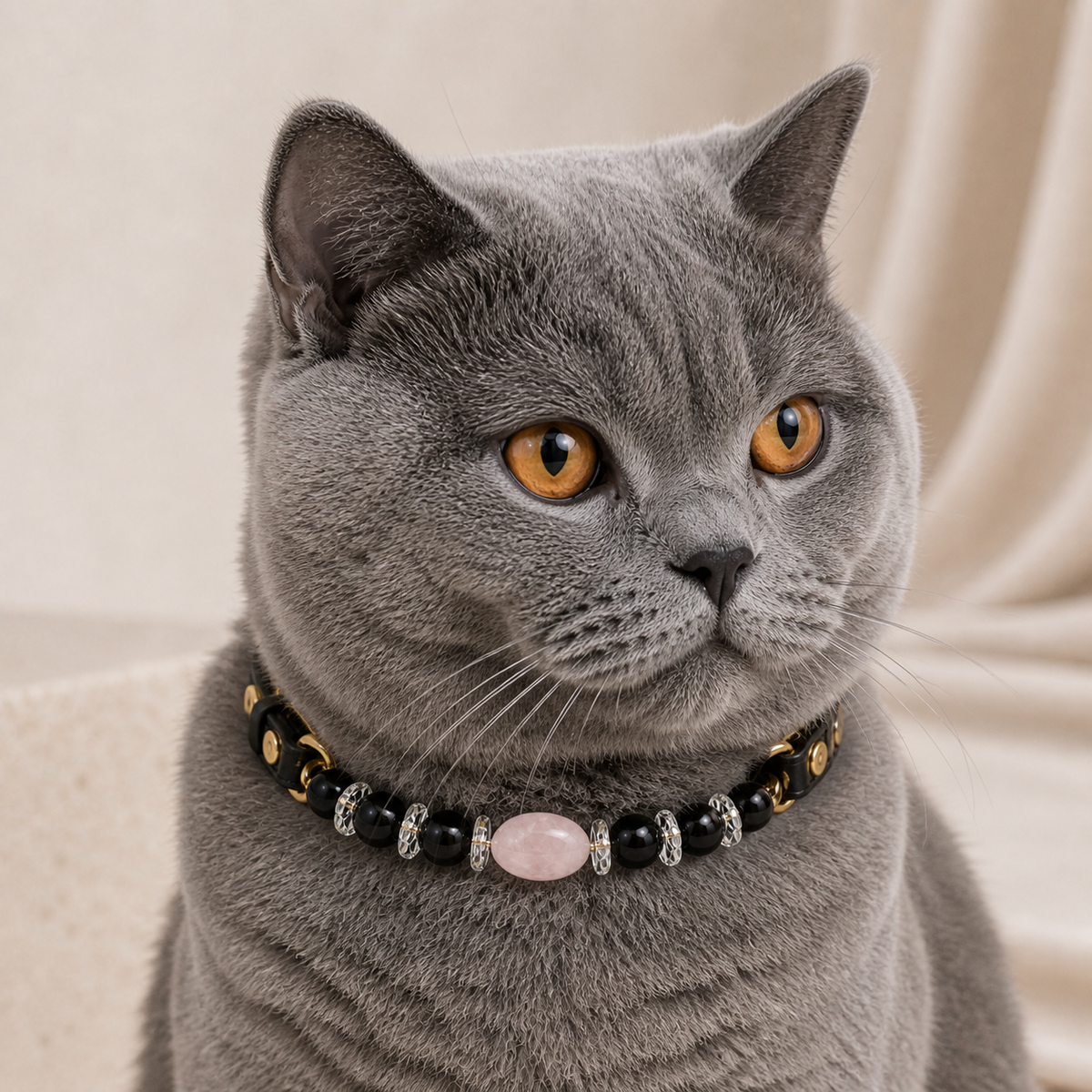 The King — Personalized Crystal Leather Pet Collar