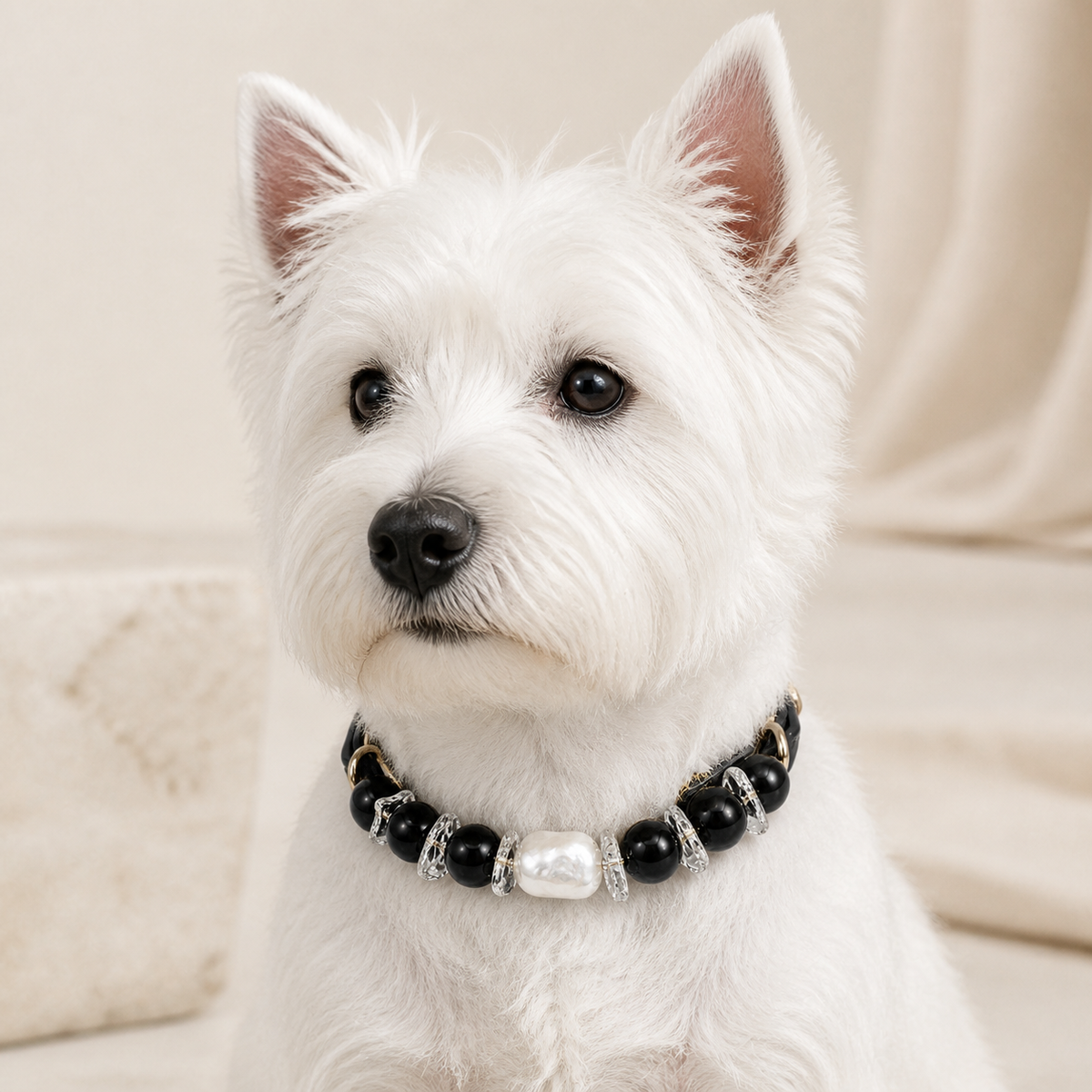 The King — Personalized Crystal Leather Pet Collar