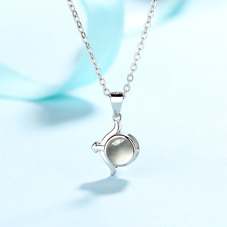 Personalised Zodiac Birth Sign Necklace