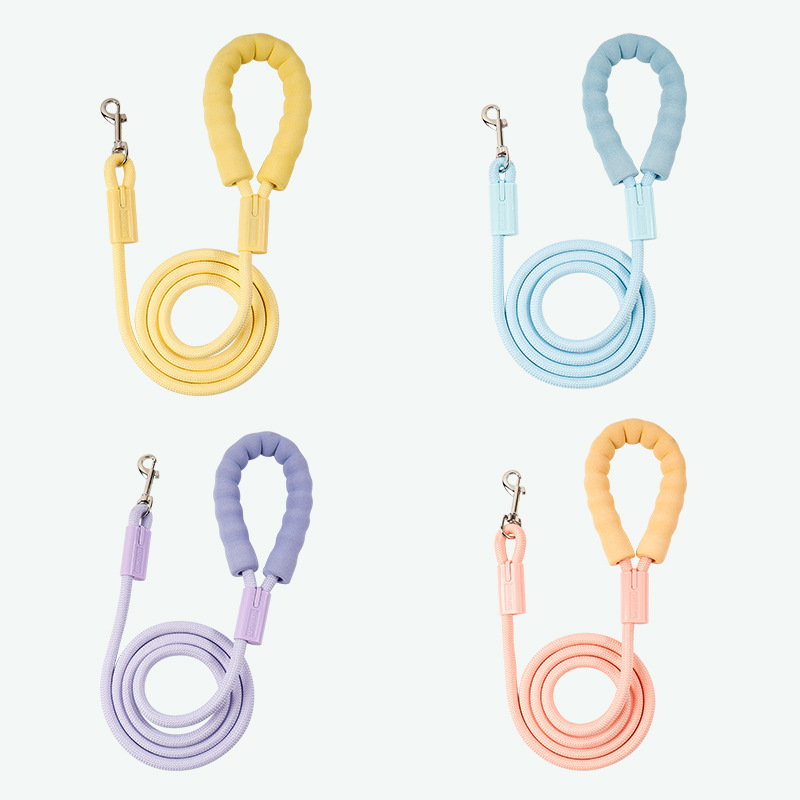 Pastel Padded Nylon Dog Leash with Soft Foam Handle