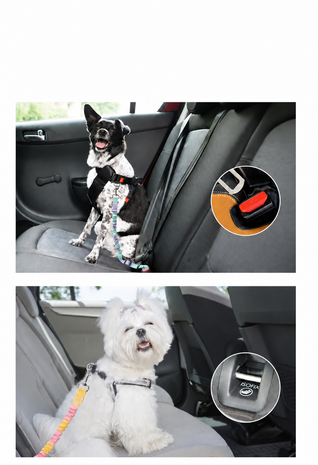 Adjustable Bungee Dog Car Seat Belt with Shock-Absorbing Tether