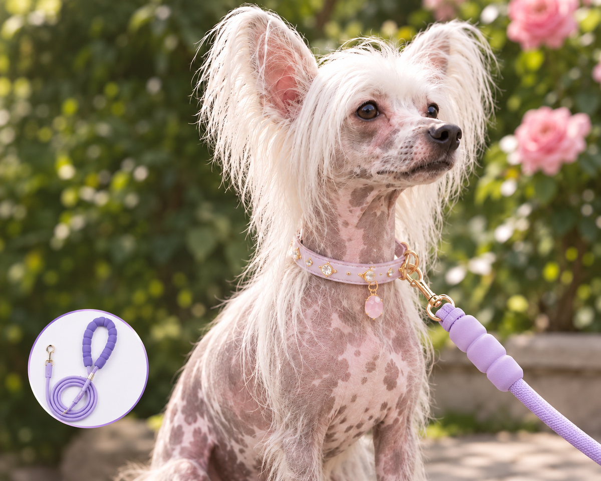 Pastel Padded Nylon Dog Leash with Soft Foam Handle