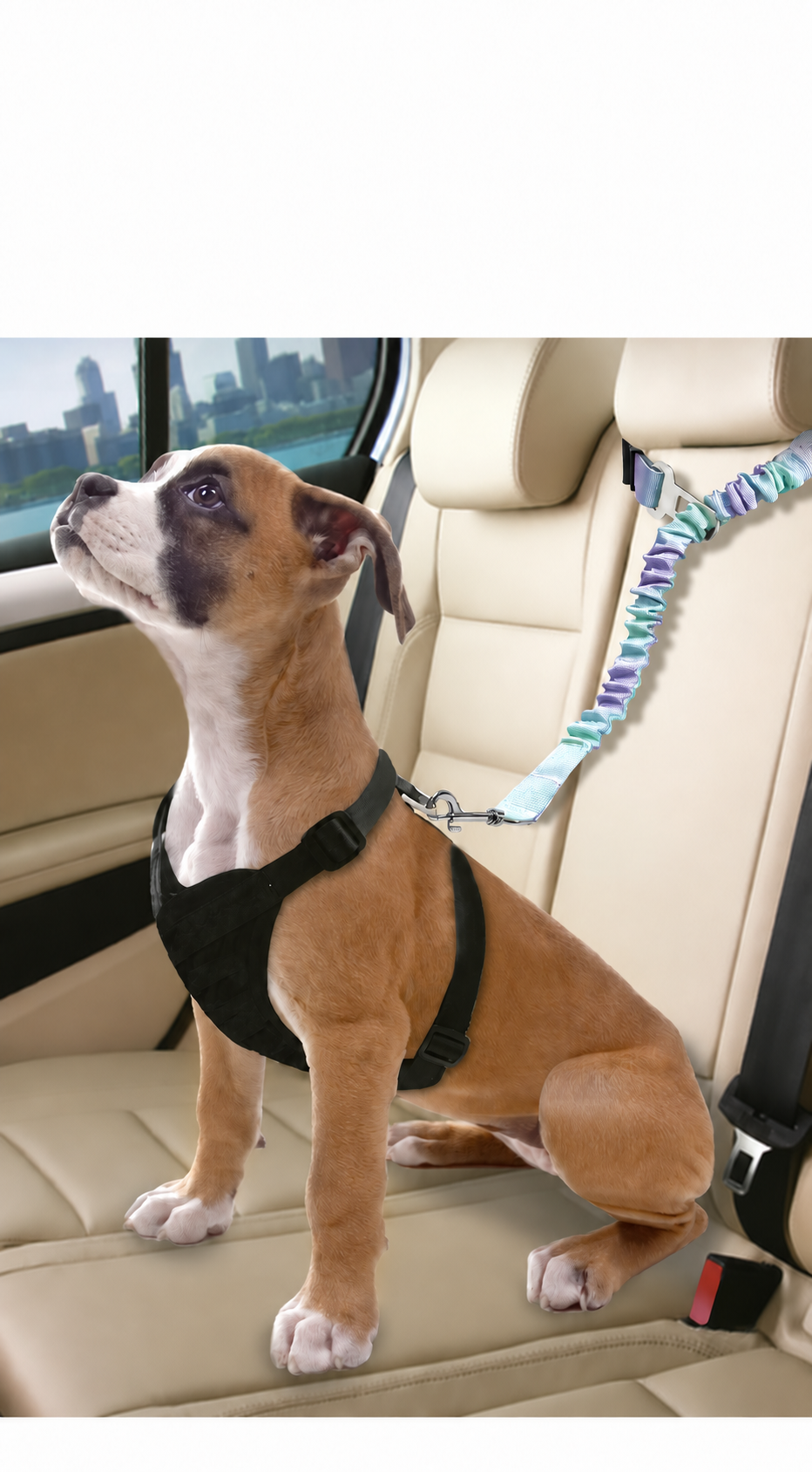 Adjustable Bungee Dog Car Seat Belt with Shock-Absorbing Tether