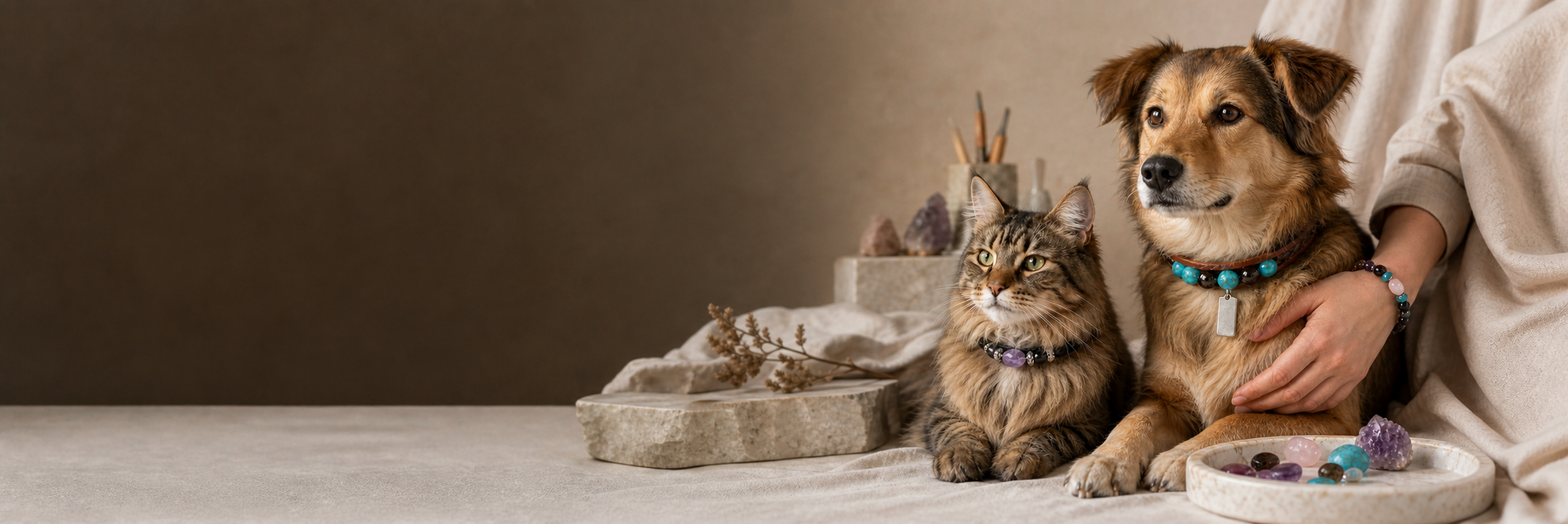 Dog and cat wearing personalized TC GENIUS leather and crystal pet collars